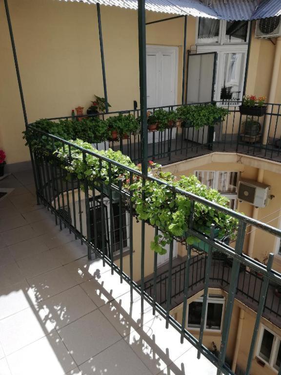 Appartamento Oaza 26 Deo 2 Belgrado Esterno foto